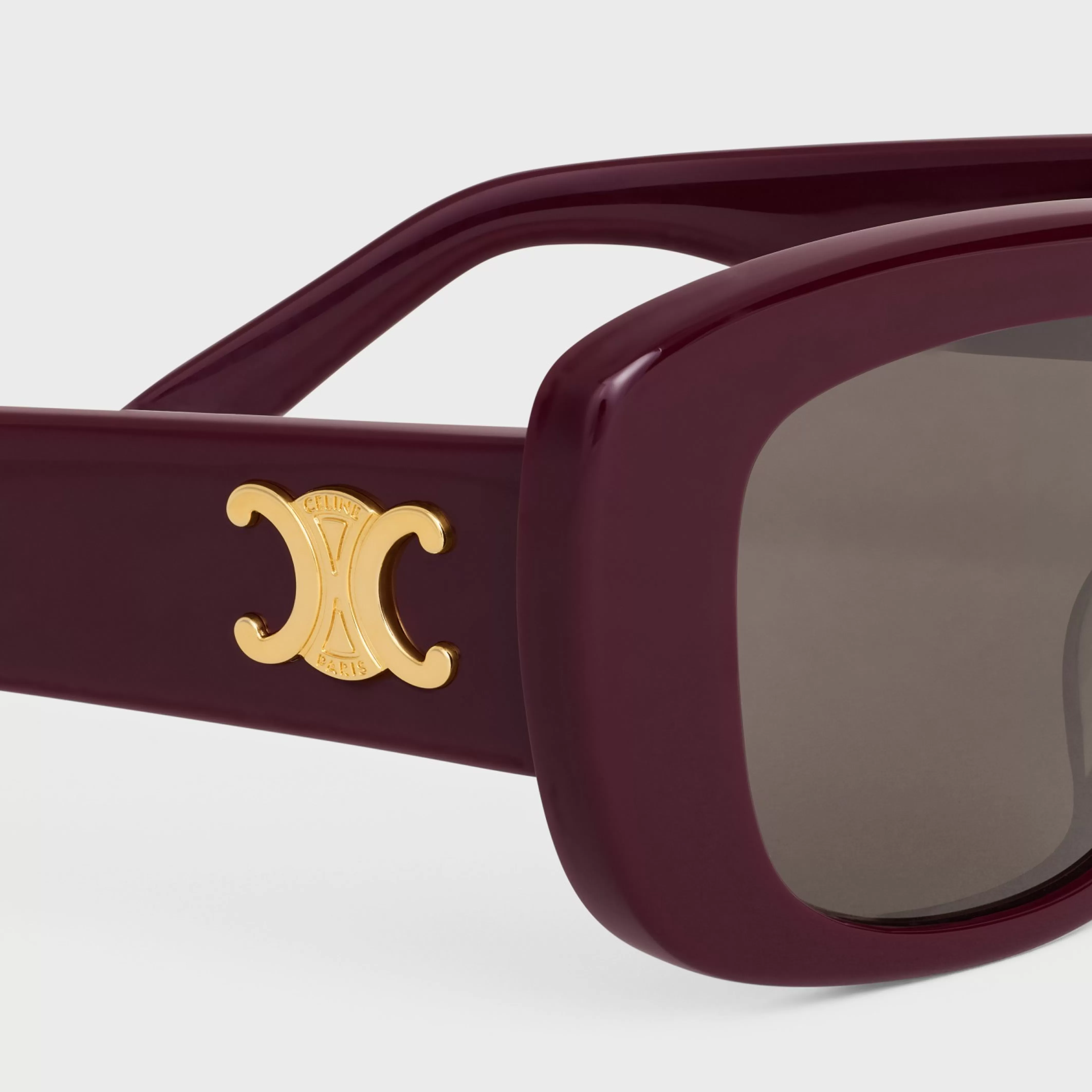 Triomphe 04 Sunglasses in Acetate^CELINE Best